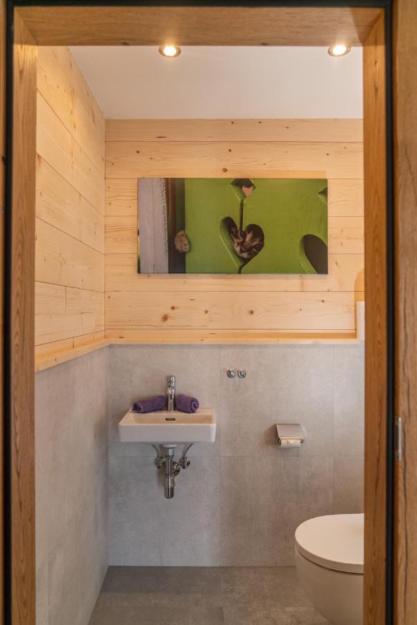 Appartement Ahorn Ramsau am Dachstein Buitenkant foto